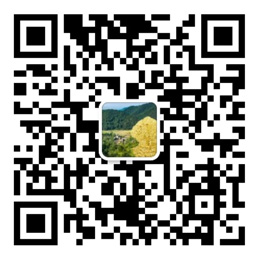 赢多多网页版